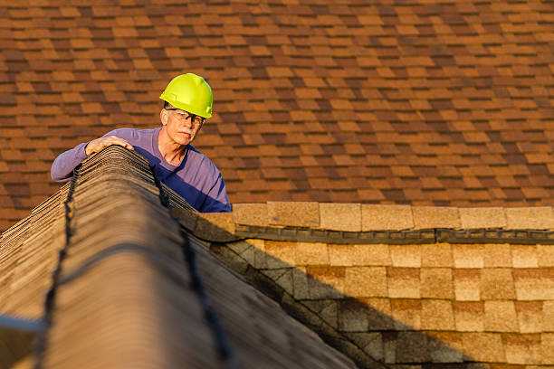 Best Roof Maintenance Services  in Wyoming, PA